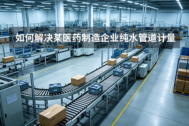 如何解决某医药制造企业纯水管道计量波动及偏差难题？